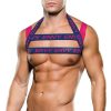 Ultra-Sexy-Lingerie * | Baci Men'S Envy Pink And Blue Logo Harness