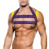 Ultra-Sexy-Lingerie * | Baci Men'S Envy Colorful Logo Harness